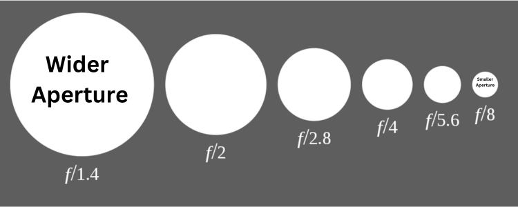 How Digital Cameras Work – Illustration showing different aperture sizes from f/1.4 to f/8.