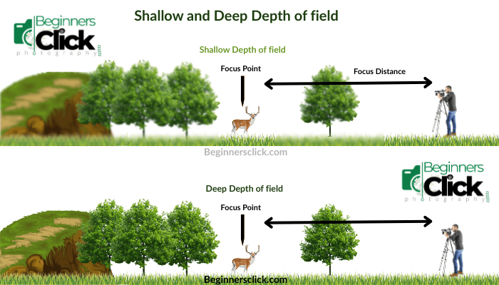 Diagram comparing shallow depth of field and deep depth of field, showing how focus distance and aperture influence focus and background blur in photography.