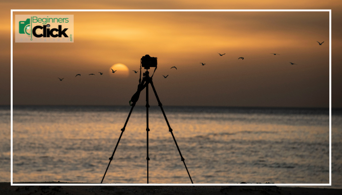 Aspiring photographer holding a camera mounted on a tripod, capturing a breathtaking landscape scene at sunrise.