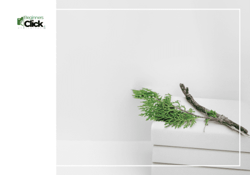 Minimalist still life with a green leaf branch and dry twig placed on white stacked boxes.