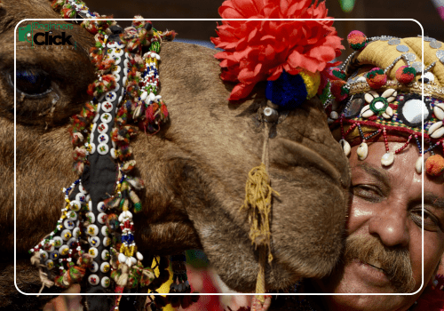 Faces of Culture – Portrait & Ethnic Photography A close-up of a man in ethnic attire smiling beside a colorfully decorated camel, both wearing traditional ornaments, with the Beginners Click Photography logo at the top.