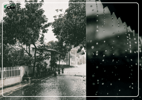 Rainy Day Split Frame – Street Scene and Raindrops Split view of heavy rain on a street with trees and rooftops, showing both wide and close-up raindrop perspectives.